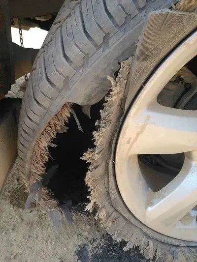 微信图片_20231212153119